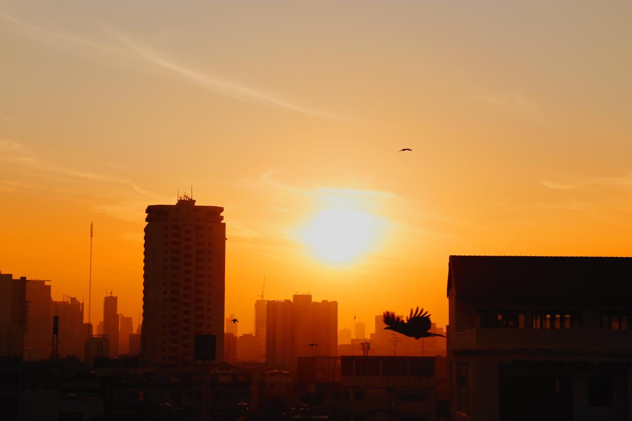Bangkok Sunset, Talia Nat 2018