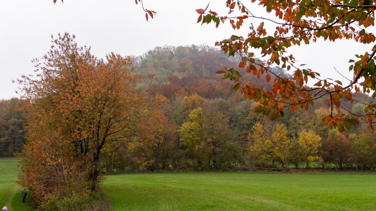 Fall