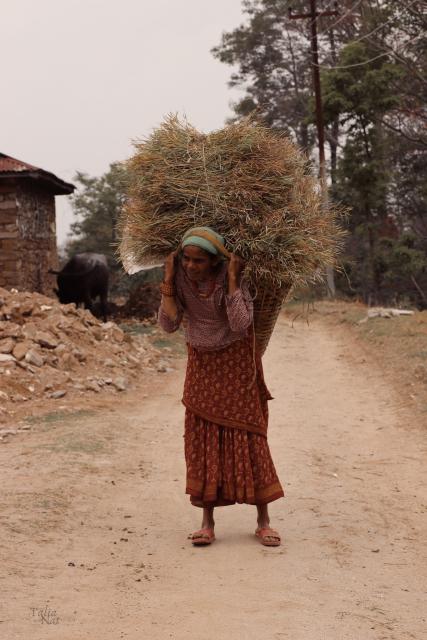 Nepal woman