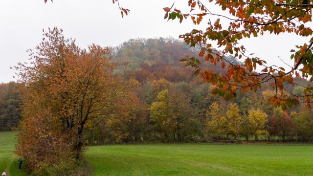 Fall