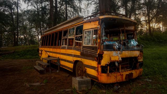 BUS