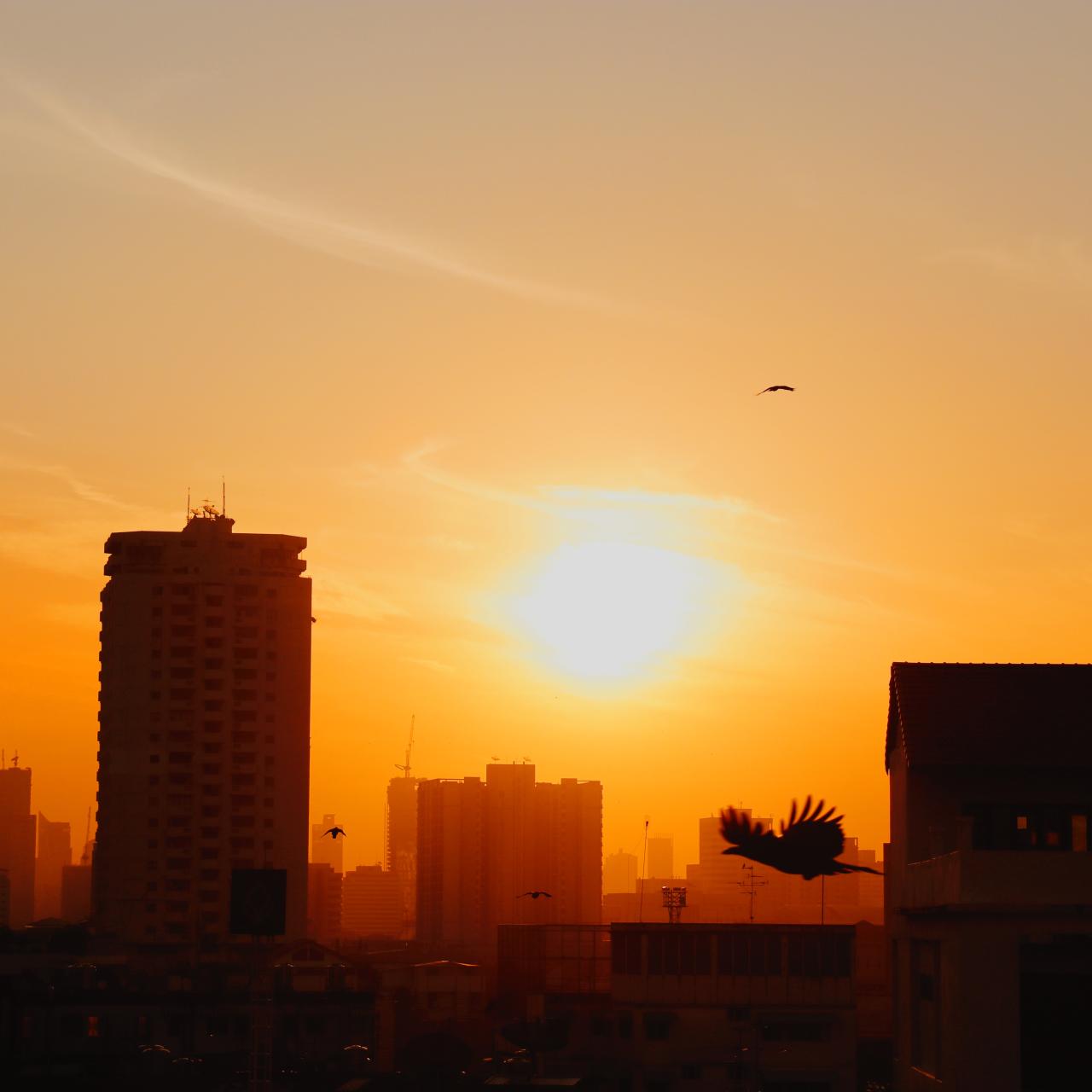 Bangkok Sunset, Talia Nat 2018
